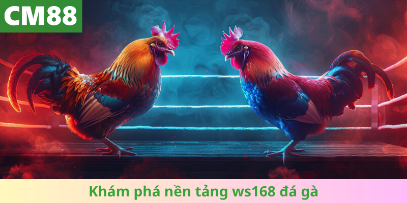 Khám phá nền tảng ws168 đá gà